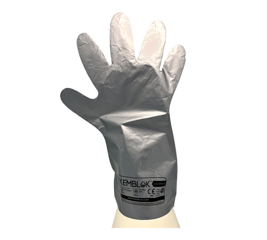 Gloves + undergloves for GTB